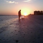 dogonfortmyersbeach dogonfortmyersbeach